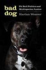 Bad Dog