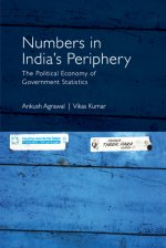 Numbers in India's Periphery: The Political Economy of Government Statistics