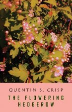 Flowering Hedgerow