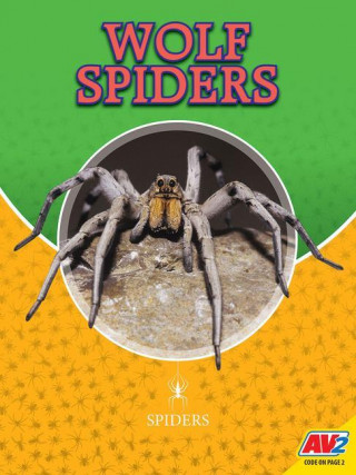 Wolf Spiders