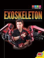 Exoskeleton