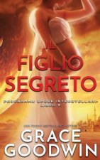 Figlio Segreto