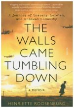 Walls Came Tumbling Down