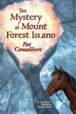 Mystery at Mount Forest Island