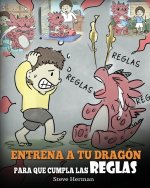 Entrena a tu Dragon para que Cumpla las Reglas