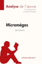 Micromegas de Voltaire (Analyse de l'oeuvre)