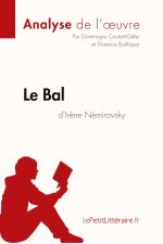 Le Bal d'Irene Nemirovsky (Analyse de l'oeuvre)