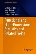 Functional and High-Dimensional Statistics and Related Fields