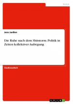 Die Ruhe nach dem Shitstorm. Politik in Zeiten kollektiver Aufregung