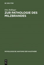 Zur Pathologie Des Milzbrandes