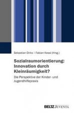 Sozialraumorientierung: Innovation durch Kleinräumigkeit?