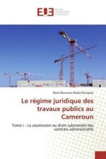 regime juridique des travaux publics au Cameroun