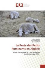 Peste des Petits Ruminants en Algerie