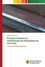 Pressao dinamica e distribuicao da densidade da corrente