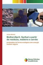 BioKernSprit. Synfuel a partir de residuos, madeira e carvao