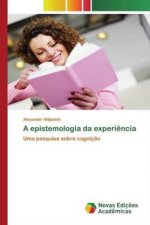 epistemologia da experiencia