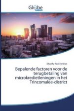 Bepalende factoren voor de terugbetaling van microkredietleningen in het Trincomalee-district