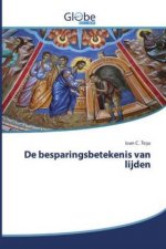 De besparingsbetekenis van lijden