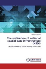 realization of national spatial data infrastructure (NSDI)