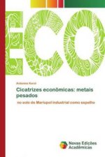 Cicatrizes economicas