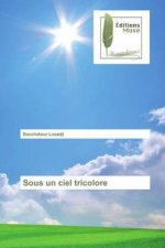 Sous un ciel tricolore