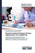 Sygnal pozakomorkowy Kinaza regulowana 1/2 p (ERK1/2)