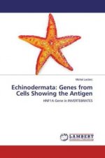 Echinodermata