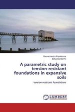 parametric study on tension-resistant foundations in expansive soils