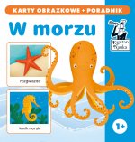 Kapitan Nauka W morzu karty obrazkowe + poradnik