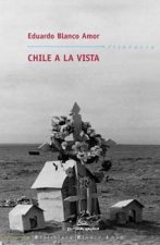 Chile a la vista
