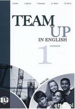 Team up in English (Levels 1-4)