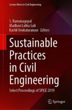 Sustainable Practices and Innovations in Civil Engineering