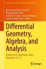 Differential Geometry, Algebra, and Analysis