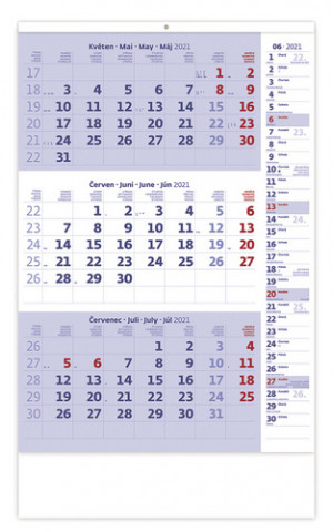 Tířměsíční modrý s poznámkami - nástěnný kalendář 2021