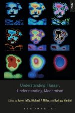 Understanding Flusser, Understanding Modernism