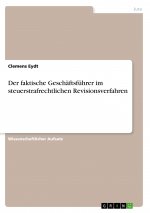Der faktische Geschäftsführer im steuerstrafrechtlichen Revisionsverfahren