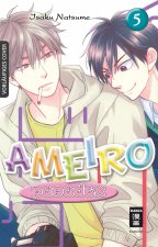 Ameiro Paradox 05