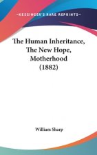 The Human Inheritance, The New Hope, Motherhood (1882)