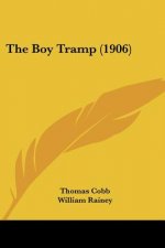 The Boy Tramp (1906)
