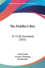 The Peddler's Boy: Or I'll Be Somebody (1851)