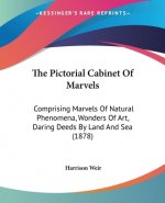 The Pictorial Cabinet Of Marvels: Comprising Marvels Of Natural Phenomena, Wonders Of Art, Daring Deeds By Land And Sea (1878)