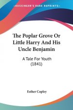 The Poplar Grove Or Little Harry And His Uncle Benjamin: A Tale For Youth (1841)
