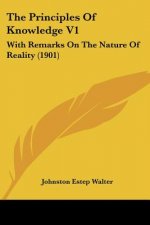 The Principles Of Knowledge V1: With Remarks On The Nature Of Reality (1901)