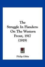 The Struggle In Flanders: On The Western Front, 1917 (1919)