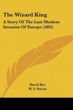 The Wizard King: A Story Of The Last Moslem Invasion Of Europe (1895)