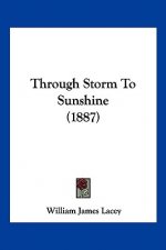 Through Storm To Sunshine (1887)