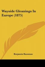 Wayside Gleanings In Europe (1875)