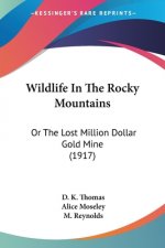 Wildlife In The Rocky Mountains: Or The Lost Million Dollar Gold Mine (1917)