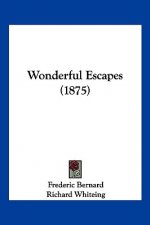 Wonderful Escapes (1875)