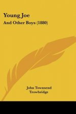 Young Joe: And Other Boys (1880)